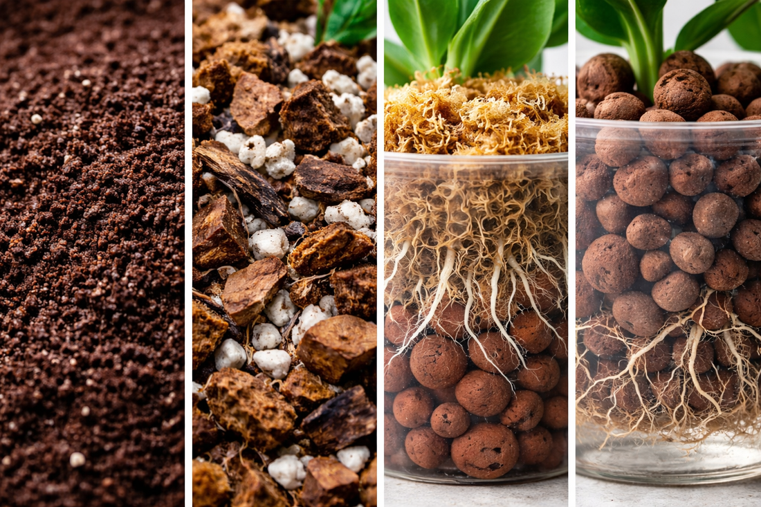 Quel substrat choisir pour ses plantes ?