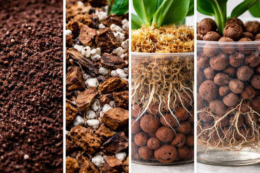 Quel substrat choisir pour ses plantes ?