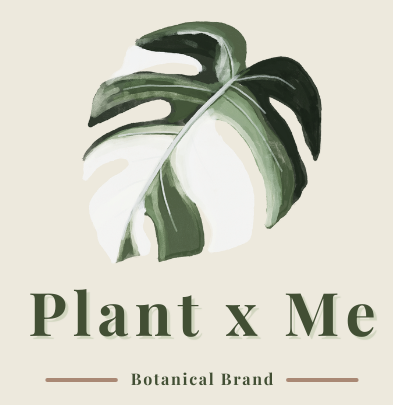 Plant x Me