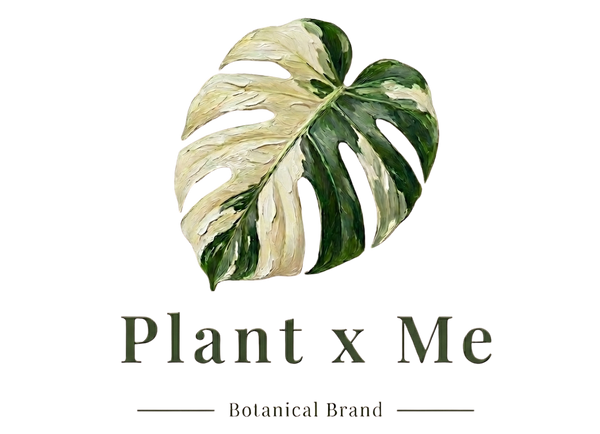 Plant x Me